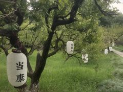 -白马涧龙池景区