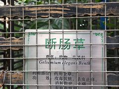 -广州神农草堂中医药博物馆