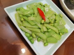 -椿不老