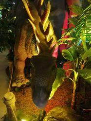 -恐龙探索乐园(磁器口店)