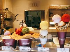 -哈根达斯(赛特奥莱店)