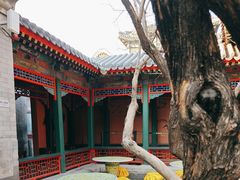 -宫事颐庭·老佛爷贵寿下午茶(颐和园店)