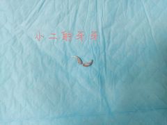 -关爱动物医院·心脏·中兽医·异宠(金牛路分院)