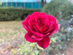 -京滨饭店·餐厅(阜外大街店)