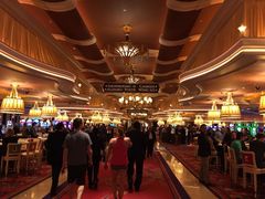 -拉斯维加斯永利酒店