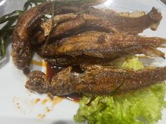 -筱爷叔·上海传统手工菜(玉树路店)