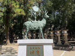 -奈良公园