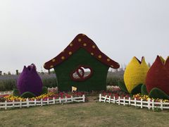 -南通鲜花小镇