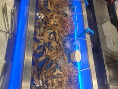 -SEA西雅图海鲜自助餐厅(正义店)