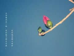 -博望坡酒楼(漕溪路店)