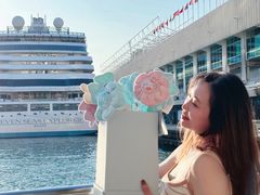 -玩具反斗城(海港城店)