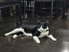 -No.1猪扒包(南坑店)