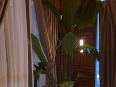 -泰合玺·精油疗愈SPA(狮山天街生活广场店)