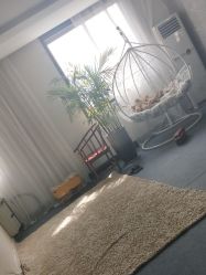 点击看大图 -憨大叔儿童摄影(义乌店)
