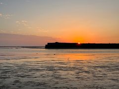 -红树林天天赶海