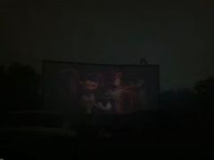 -枫花园汽车电影院(朝阳公园店)