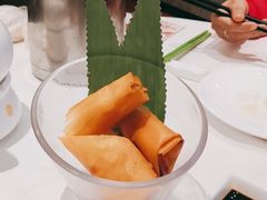 -侨美·唐荔园·40年地道粤菜