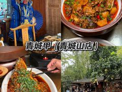 -青城甲(青城山店)