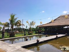 -Bebek Joni Restaurant