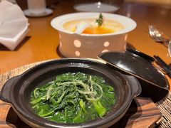 -广州富力君悦大酒店空中花园