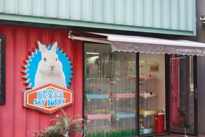 斯恺兔宝宝(长阳玛雪儿店)-"昨天本想给家里的小仓鼠买点木屑和面包虫