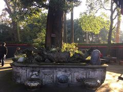 -峨眉山报国寺