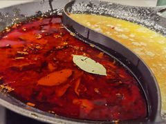 红汤梭边鱼锅-新辣道鱼火锅(西直门店)