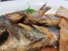 -大锅强·蒸海鲜青岛菜(吾悦广场店)