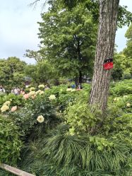 -BabyA 专业婴童摄影(古北时尚广场店)