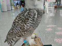 -吉林省自然博物馆