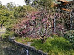 景点-静安雕塑公园