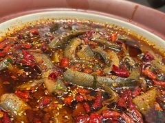 -情妹耙泥鳅·江湖川菜(科华店)