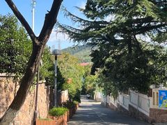 -八大关景区