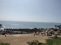 -广东惠东海龟国家级自然保护区