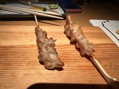 -鳥焱商店(王府大街店)