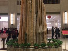 -兴芮温泉度假区