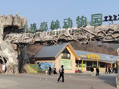 -大连森林动物园