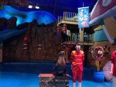 -烟台海昌鲸鲨海洋公园