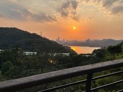 -深圳仙湖植物园