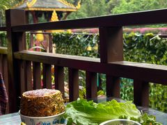 -西双版纳原始森林公园