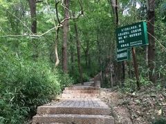 -紫金山天文台