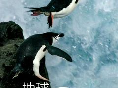 -金逸影城(哥伦布店)