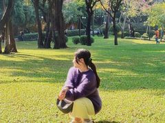-晓港公园