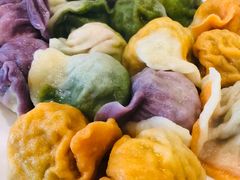五彩饺子-宝源饺子(麦子店街店)