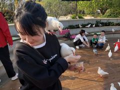 -南昌之星游乐场