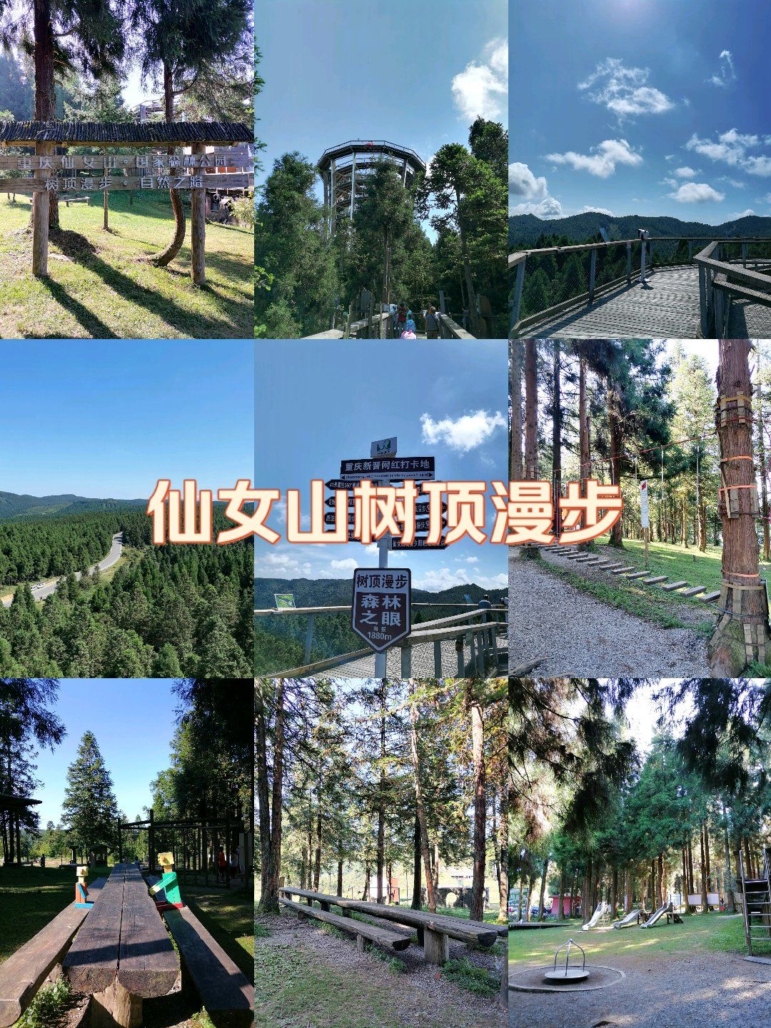 还有多少人不知道仙女山森林公园里的树顶漫步