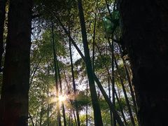 -同里国家湿地公园