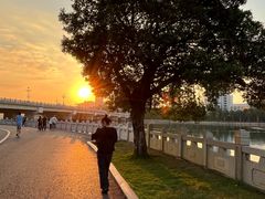 -南宁南湖公园