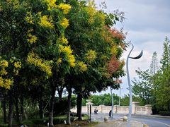 -西山漾湿地公园