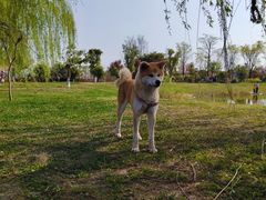 -仙海旅游度假区